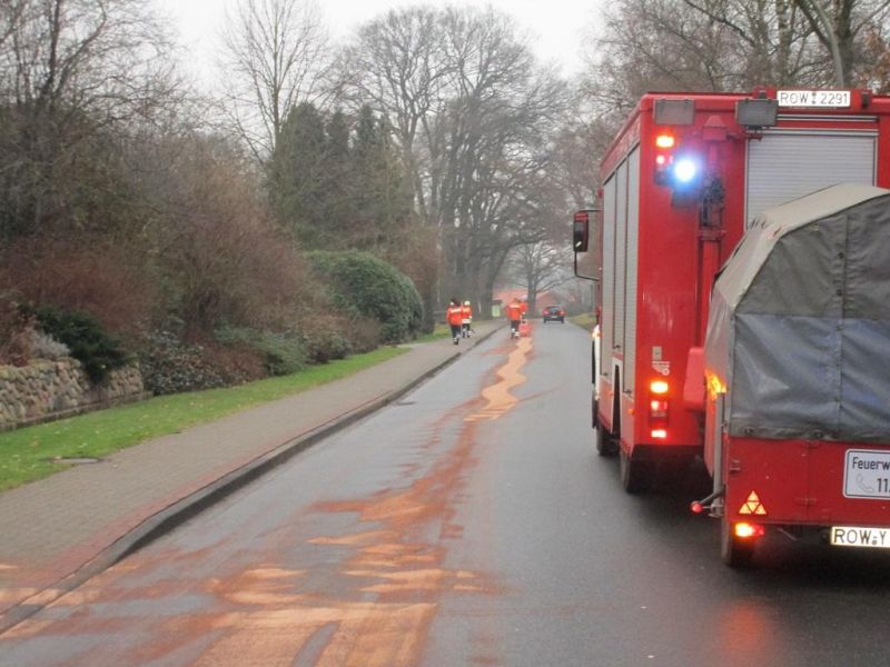 Technische Hilfeleistung - Straßenverunreinigung (THS)